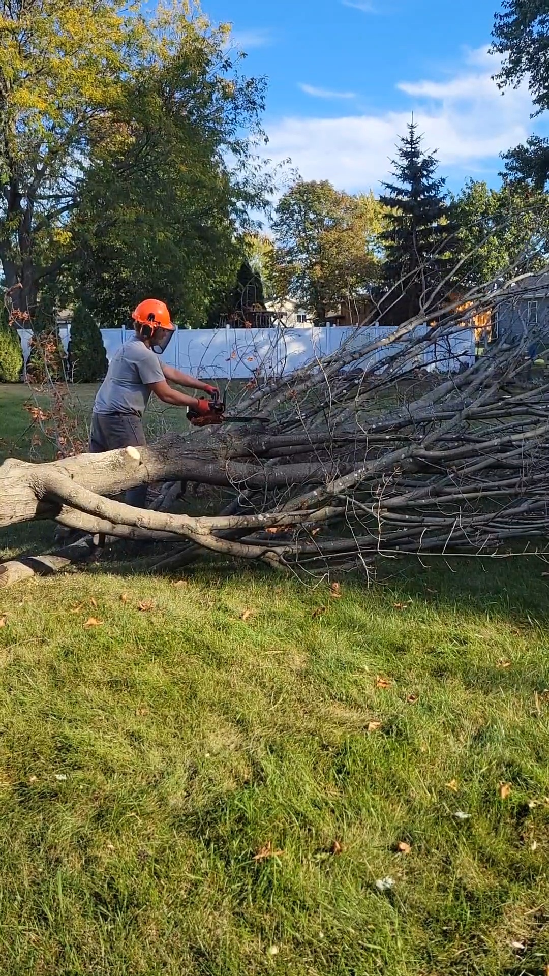 stump grinding machine 