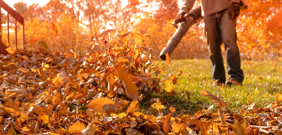 Preparing a lawn in Fond du Lac County for autumn with colorful leaves in a bag