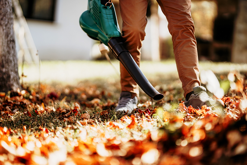 A person using a leaf blower to clear fallen leaves from a lawn