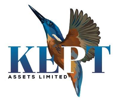 Dave Webster business logo