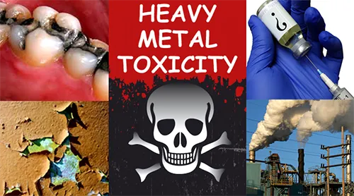 Heavy Metals