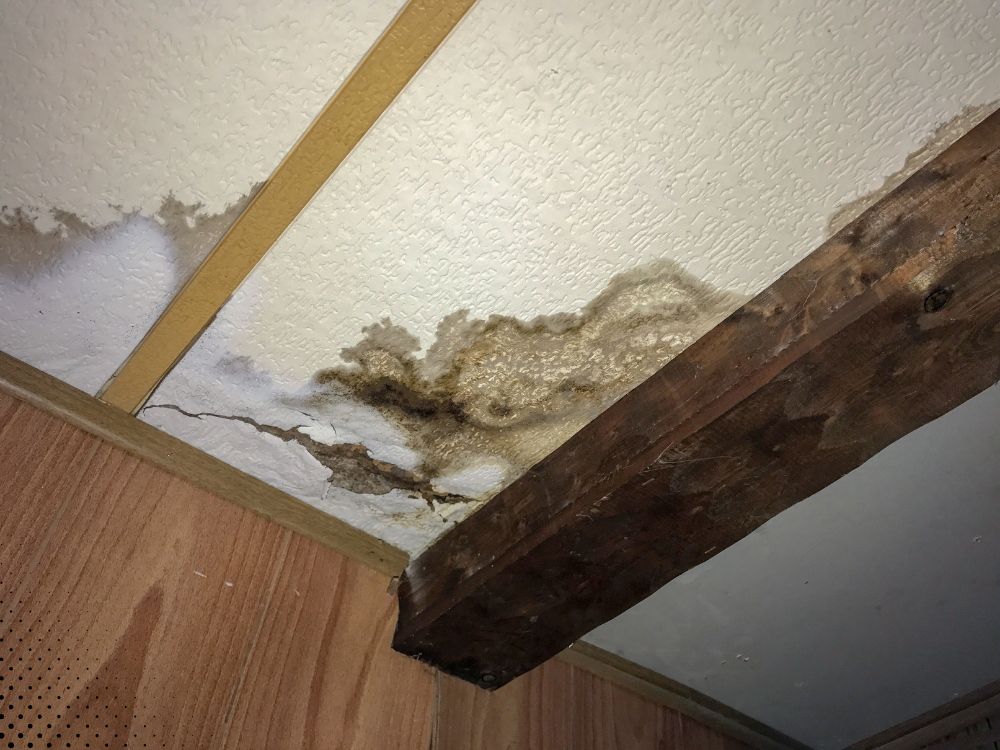 Water-damaged ceiling with brown stains and peeling paint near a dark wooden support beam, showing signs of moisture and possible mold growth.