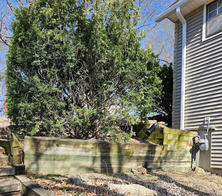 Pavestone Retaining Wall