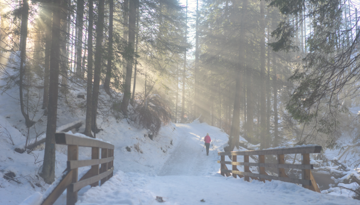 A Gentle Practice for This Month A Gentle Practice for This Month