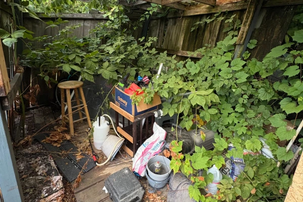 Hoarder Cleanout Services
