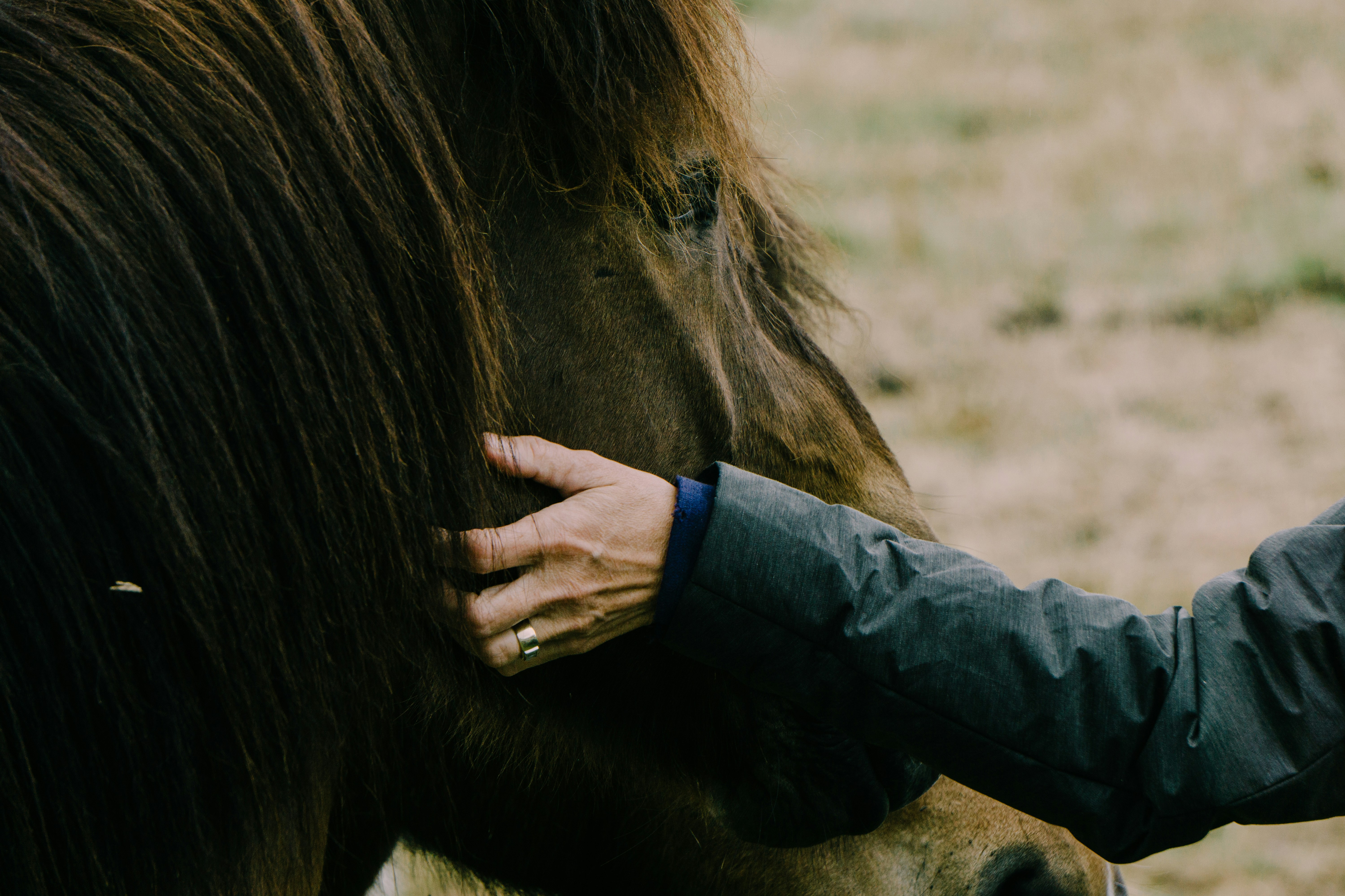 Equine therapy and autism Equine therapy and autism