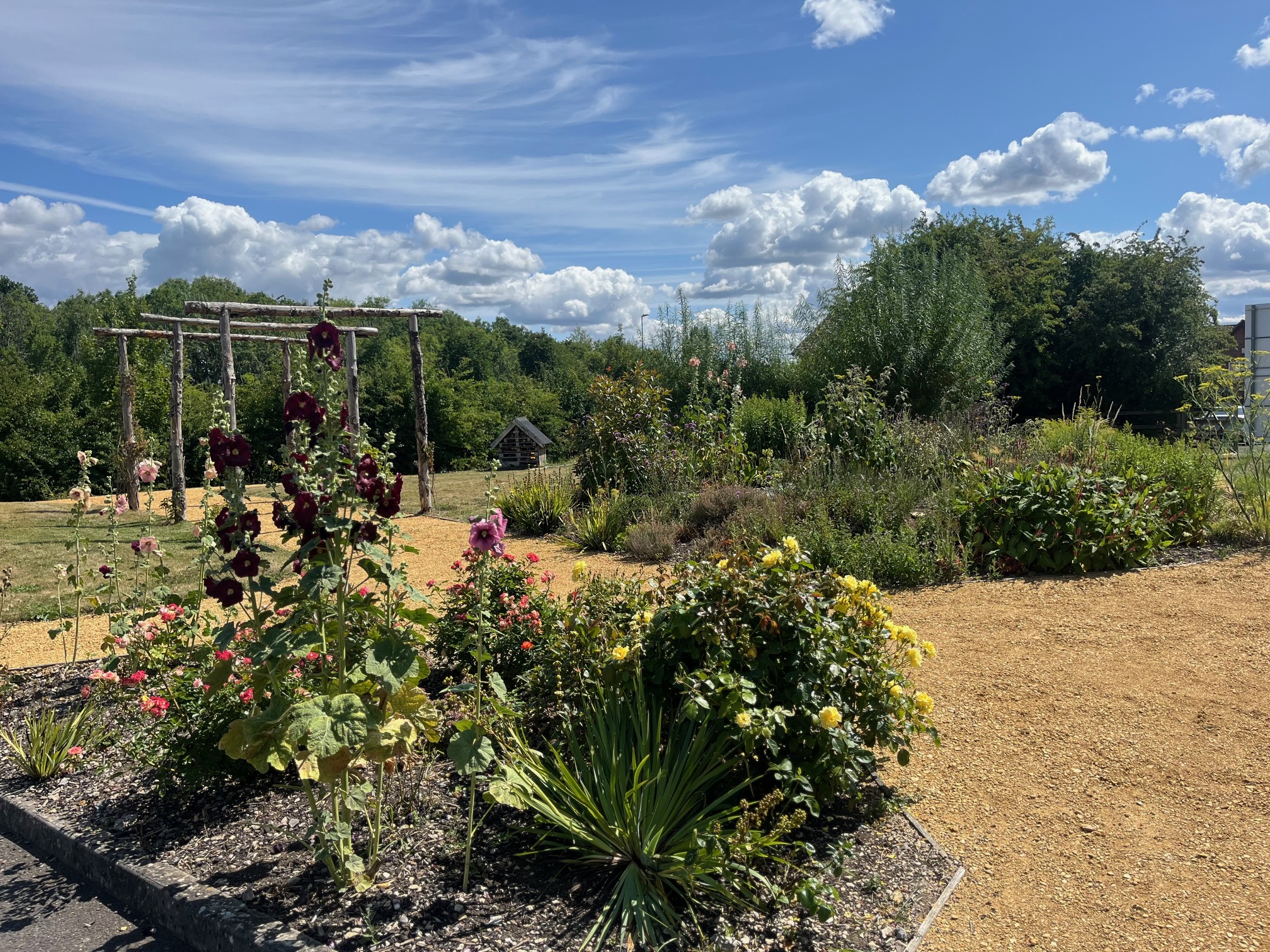 Pathway through wildflower gardens at the Brightwell Centre, with wooden archway and surrounding greenery under a blue sky. Home to Inclusive Change.