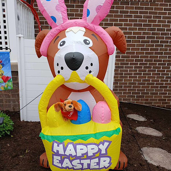 Dach on Easter Dog Dach on Easter Dog