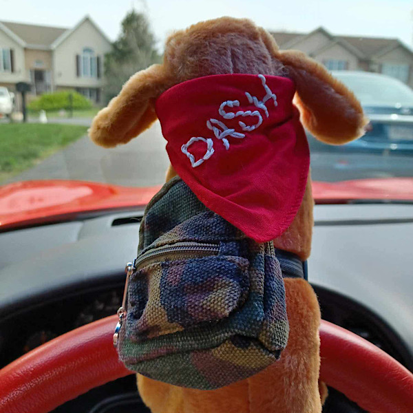 Dash in Corvetter Dash in Corvetter
