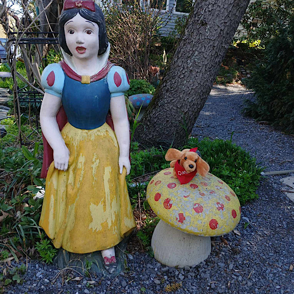 Dash Snow White Dash Snow White