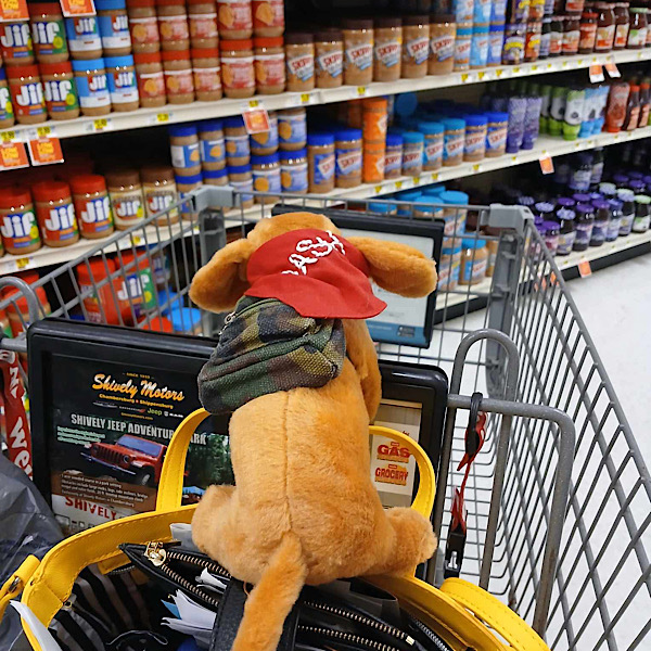 Dash Shopping Dash Shopping