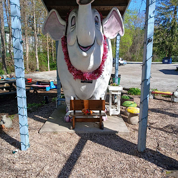 Dash Elephant 2 Dash Elephant 2