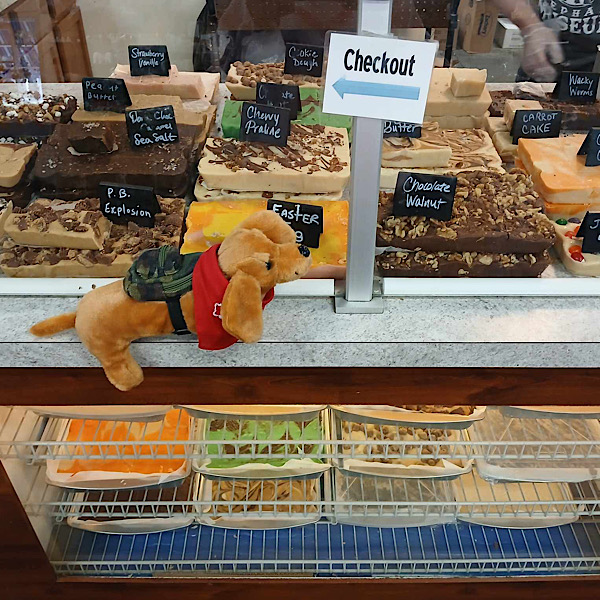 dash with candy dash with candy