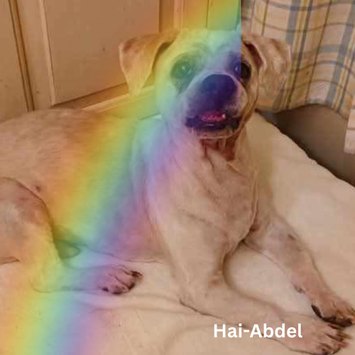 Hai Rainbow Hai Rainbow