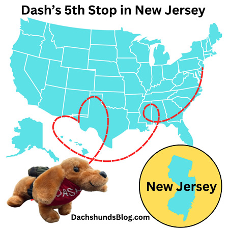 Dash's 5th Stop New Jersey