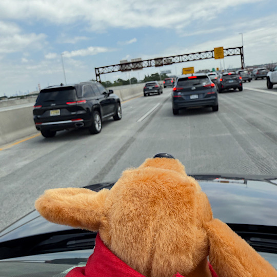 Dash Traffic Dash Traffic