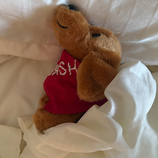 Dash sleep over Dash sleep over