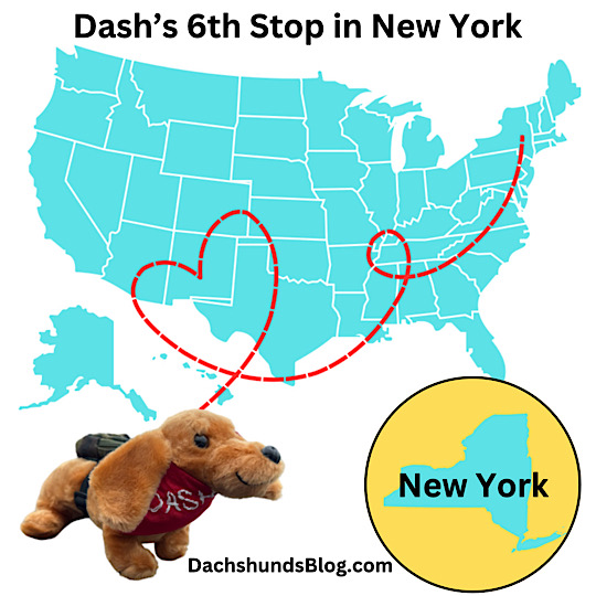 Dash's 6th Stop - New York