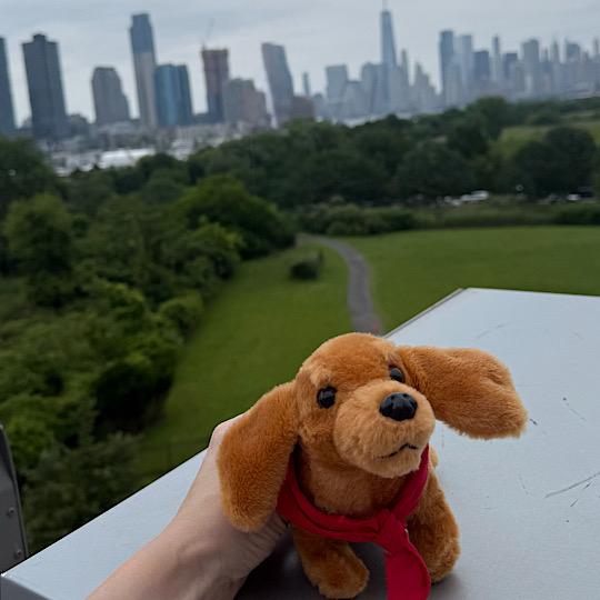 Dash view NYC Dash view NYC