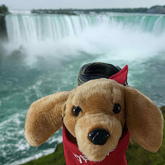 Dash Niagra Falls Dash Niagra Falls