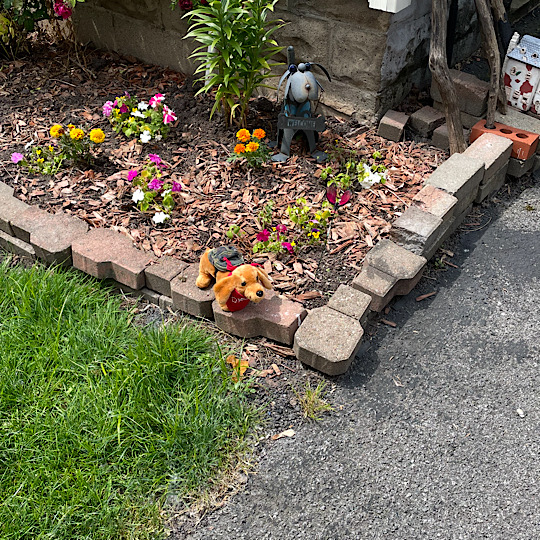 Dash Garden Dash Garden