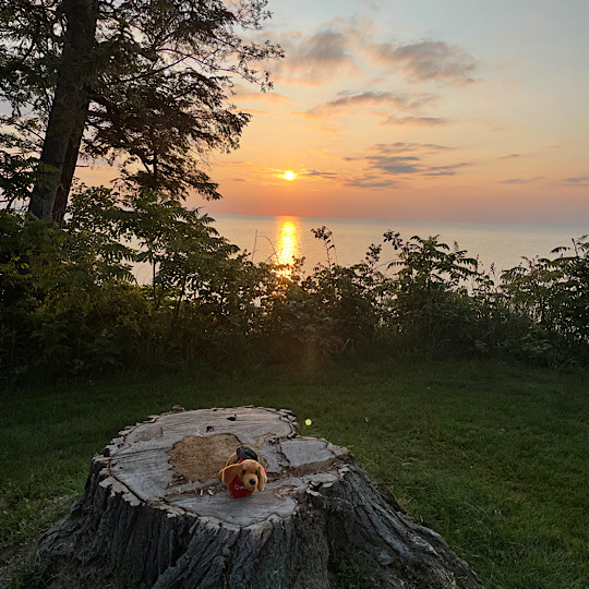 Dash Sunset Dash Sunset