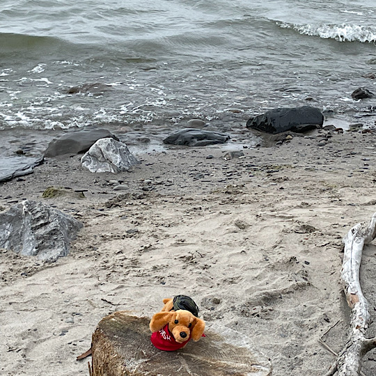 Dash camping beach Dash camping beach