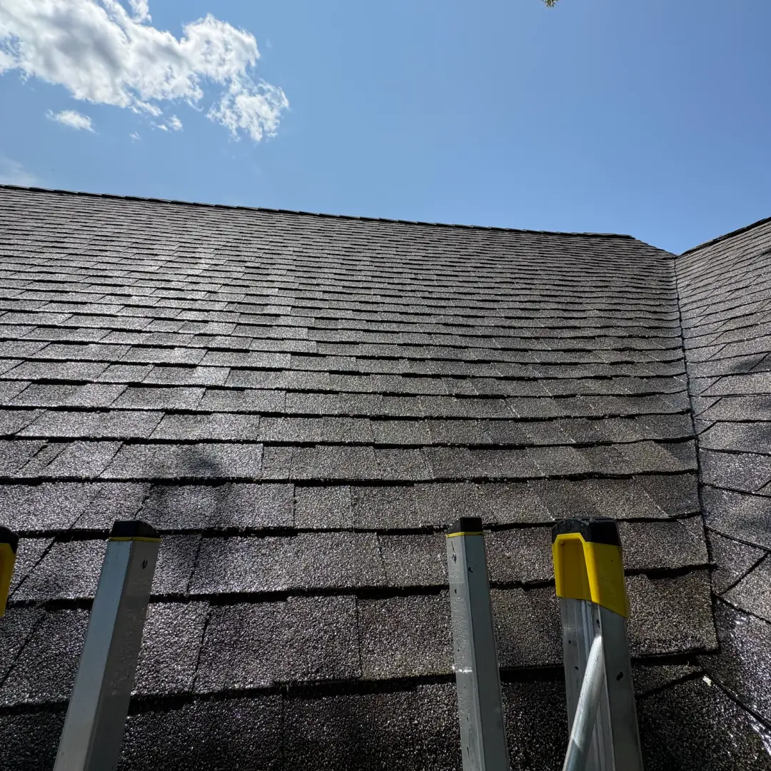 Before and after roof washing results, algae and black streaks removed