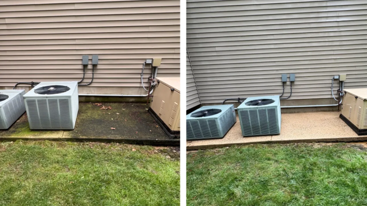 Algae, mildew and organic growth on concrete in New Jersey