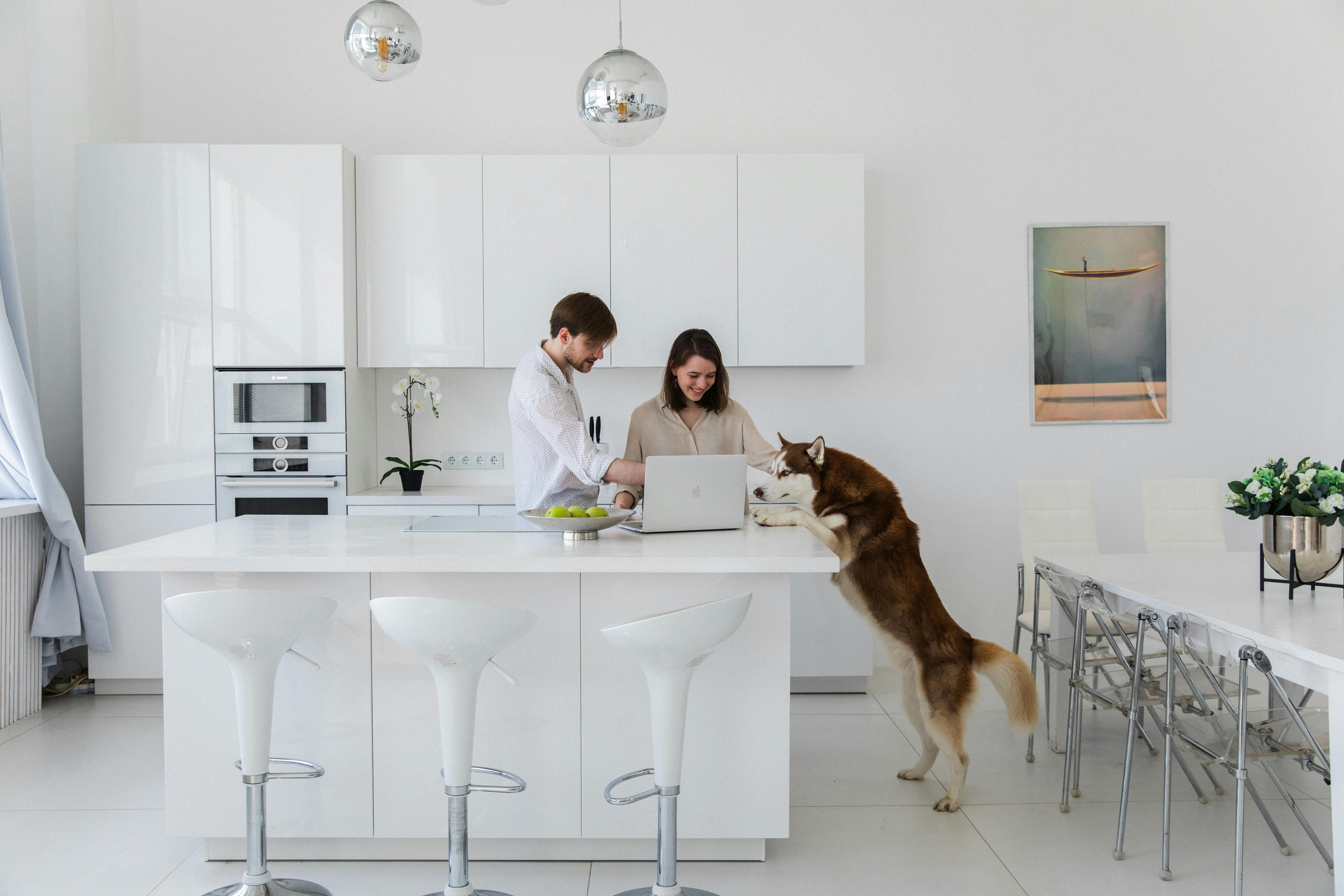 Nutrition Tips for Staying Energized When You Work from Home