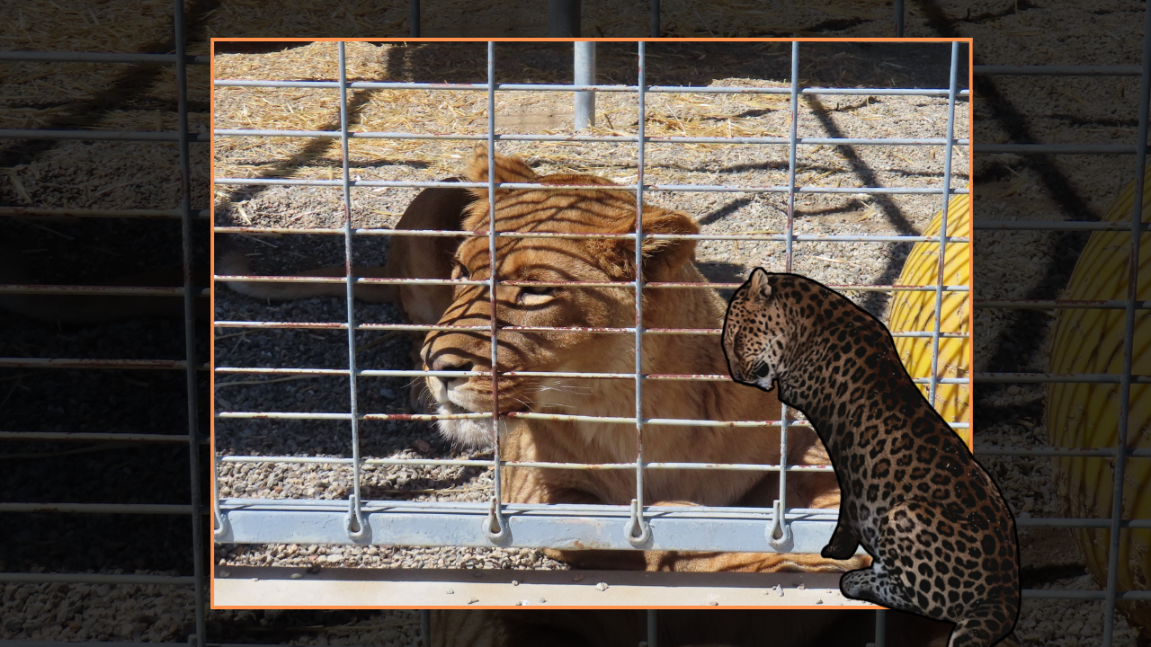  Eight Local Nursing Homes Score Top Rankings