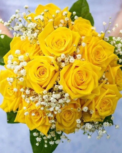 2. Yellow Roses 2. Yellow Roses