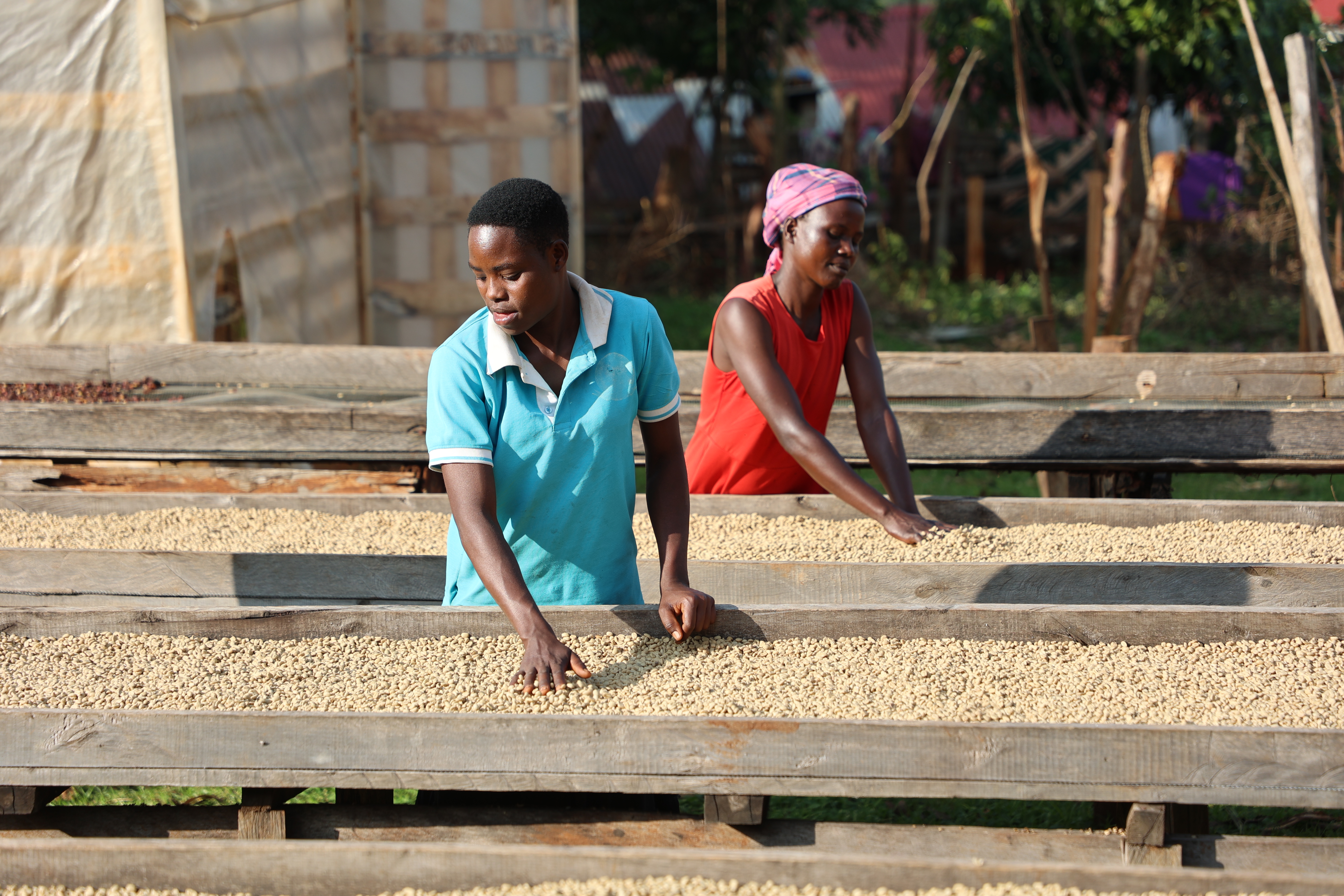 Farmer Training