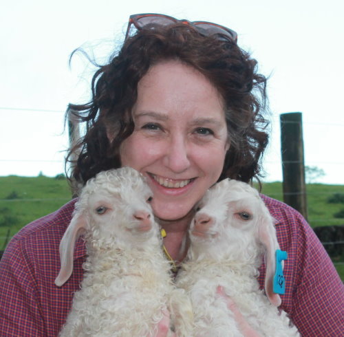 Goats aren't grazers