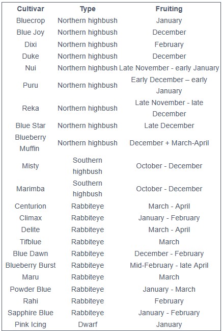 a list of varieties of blueberries
