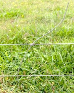 wire knot wire knot