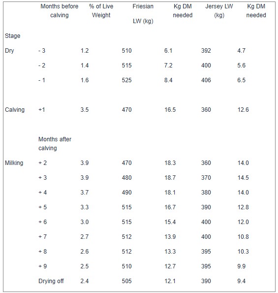feeding a milking cow at different stages feeding a milking cow at different stages