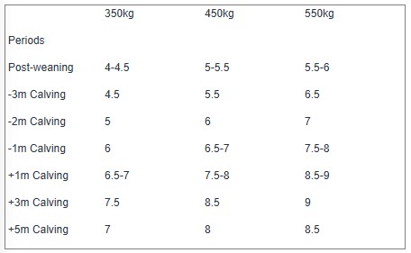 Feed intakes in kg DM/head/day for cattle of three live weights Feed intakes in kg DM/head/day for cattle of three live weights