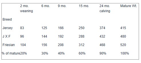 Target live weights ( kg) for dairy stock at different ages Target live weights ( kg) for dairy stock at different ages