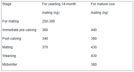 Target live weights (kg) for beef stock at different ages Target live weights (kg) for beef stock at different ages
