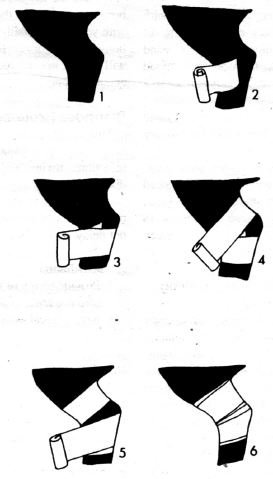 a black dog