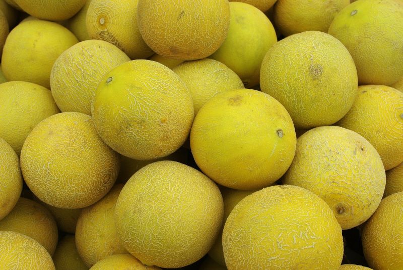 a pile of yellow honeydew melons