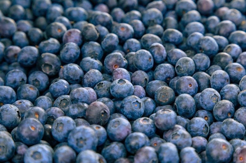 a close up of blueberries
