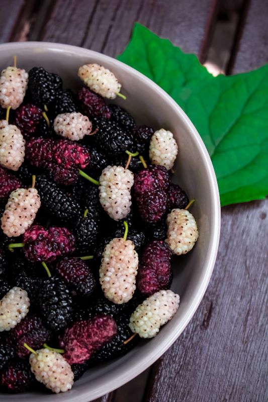 a mixture of red, black and white mulberries in a bowl a mixture of red, black and white mulberries in a bowl