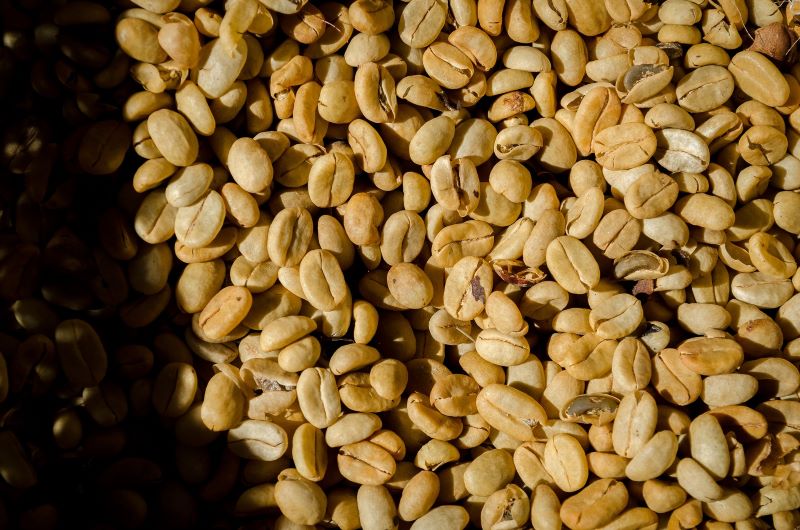 a bowl of unroasted coffee beans a bowl of unroasted coffee beans