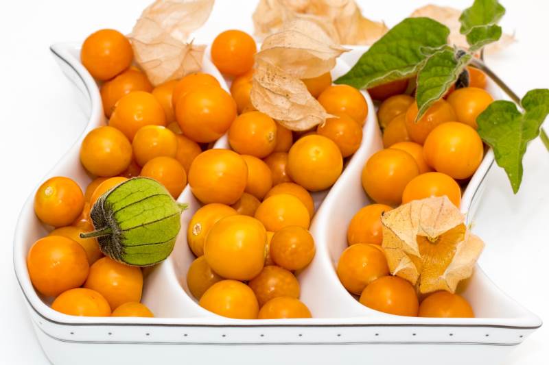 a white ceramic dish filled with cape gooseberries 