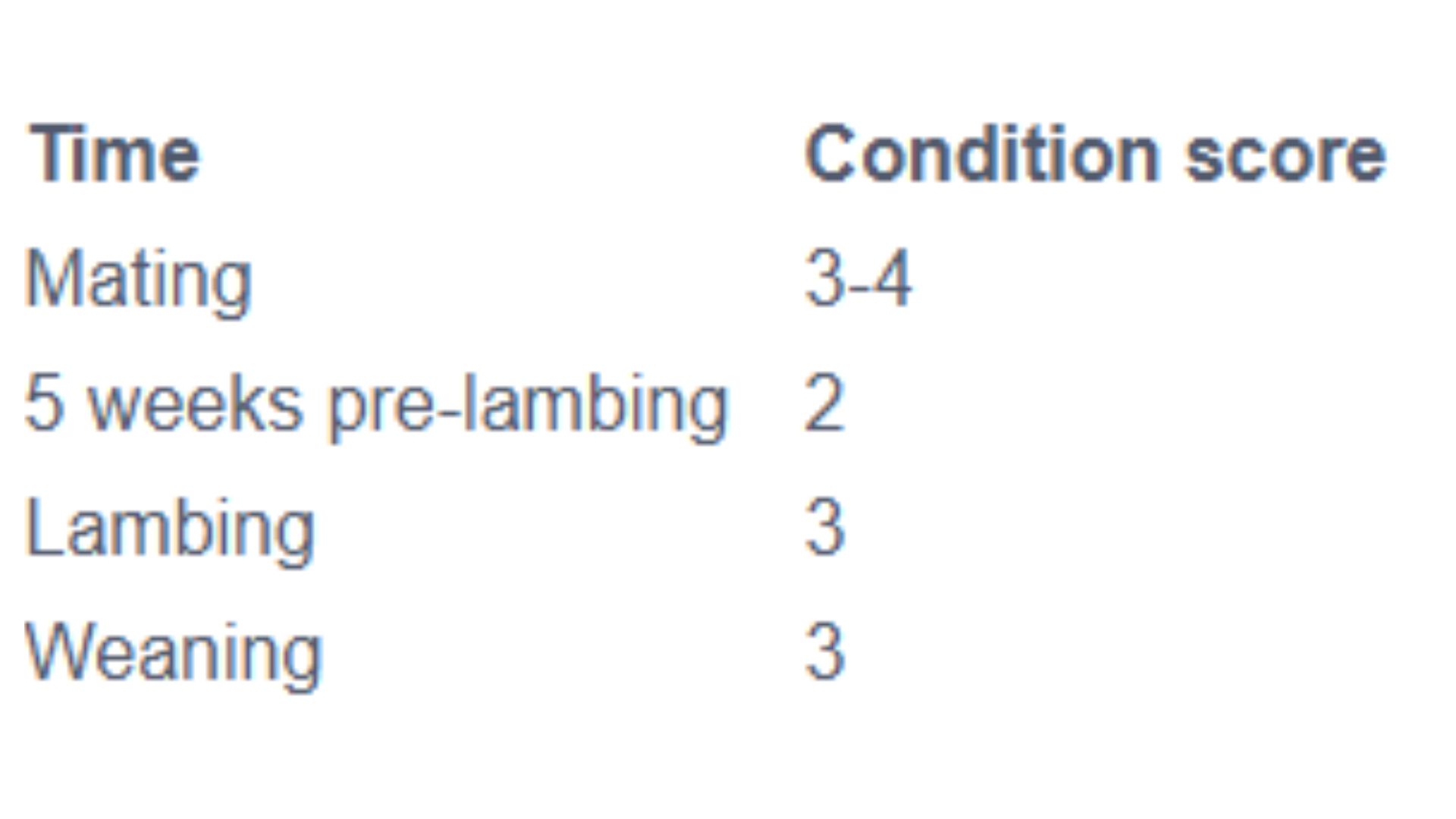 condition score targets