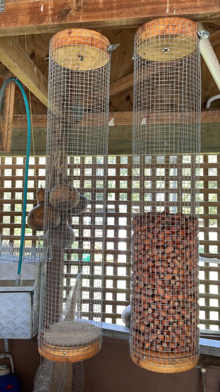hazelnuts drying in cylindrical cages hazelnuts drying in cylindrical cages