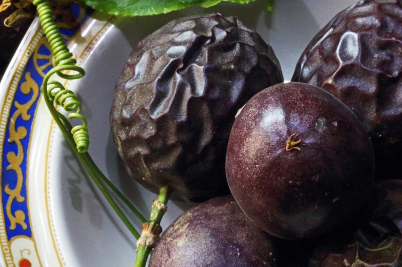 a close up of ripe, whole passionfruit in a blue and white bowl
