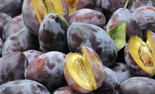 plums in a bowl plums in a bowl